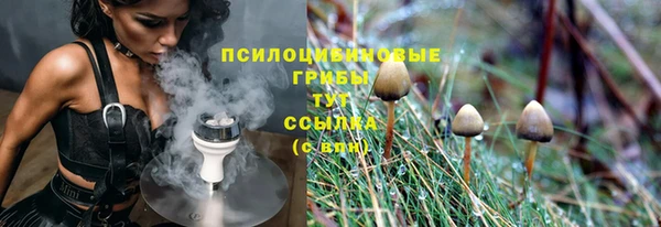 дмт Алзамай