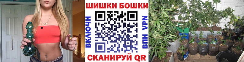 Марихуана SATIVA & INDICA Купить закладки Волгореченск